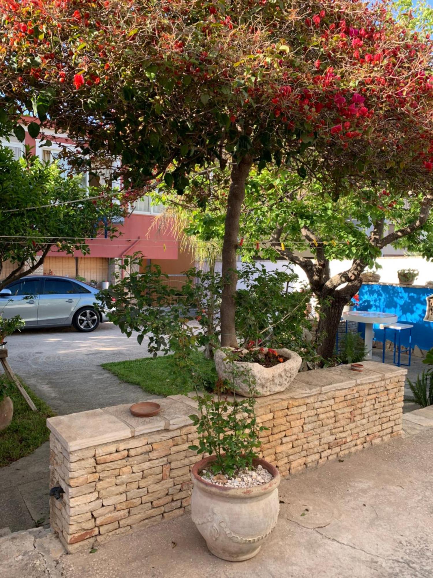 Bed & Breakfast Sole Azzurro Custonaci Exterior foto