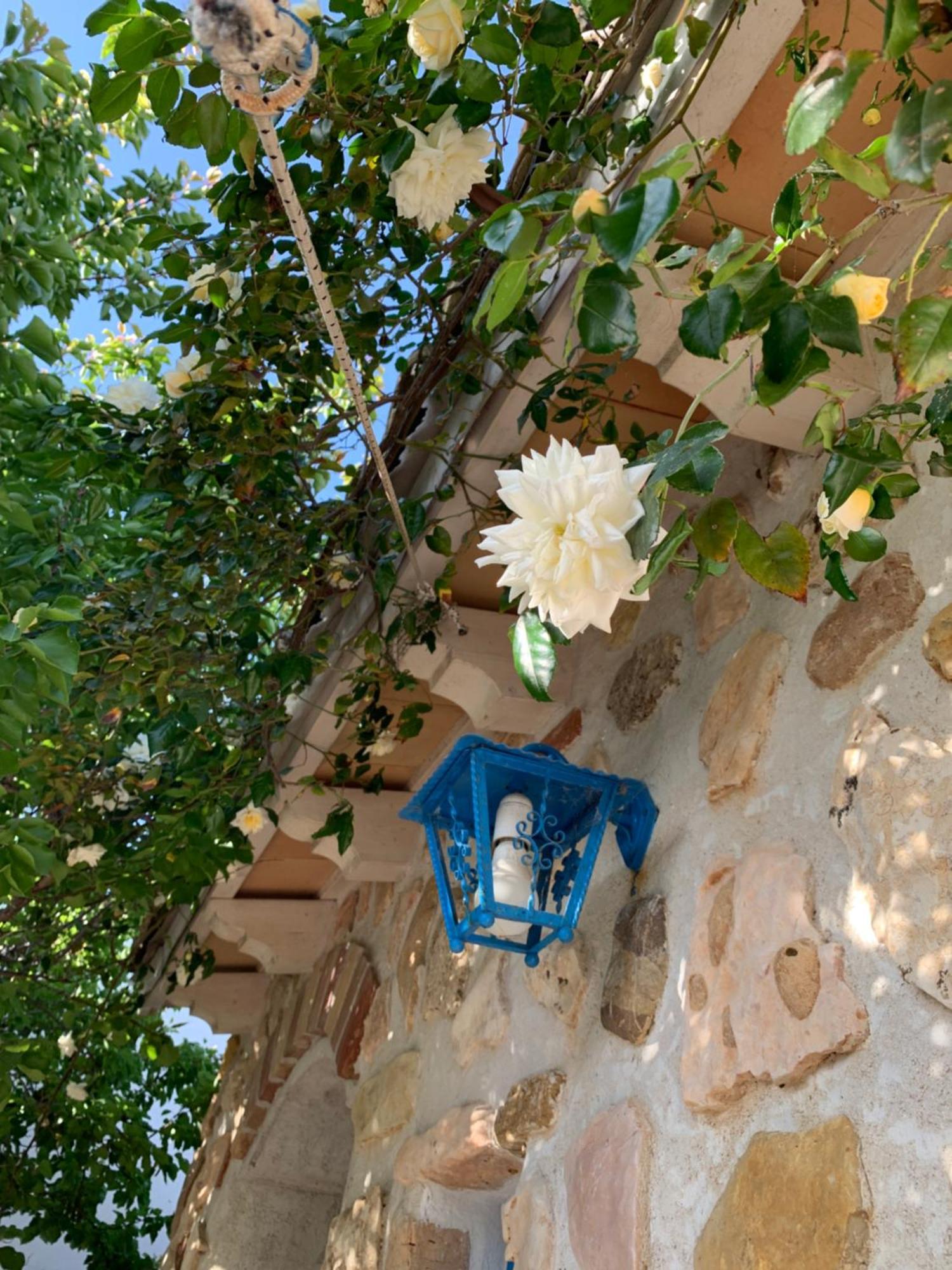 Bed & Breakfast Sole Azzurro Custonaci Exterior foto