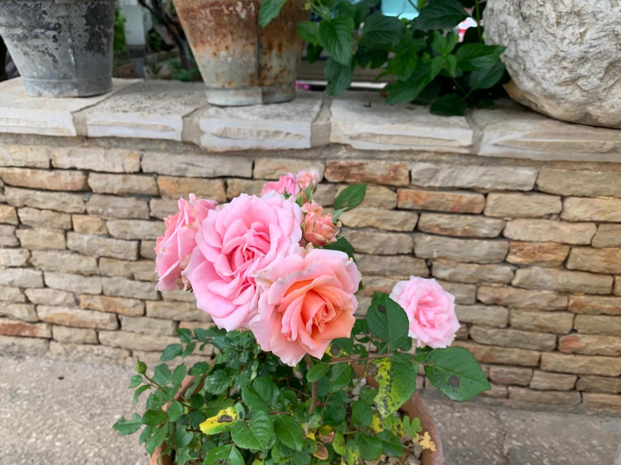 Bed & Breakfast Sole Azzurro Custonaci Exterior foto