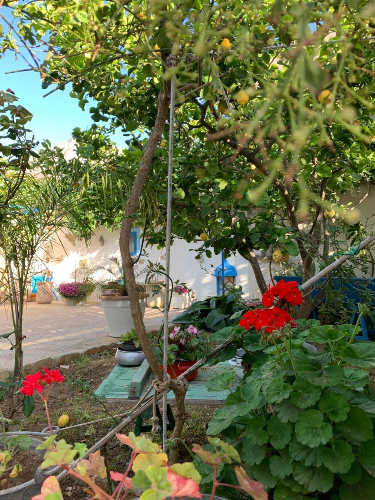 Bed & Breakfast Sole Azzurro Custonaci Exterior foto